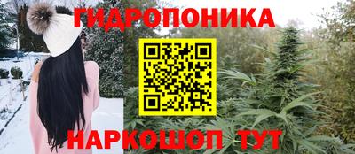 шишки Старая Купавна