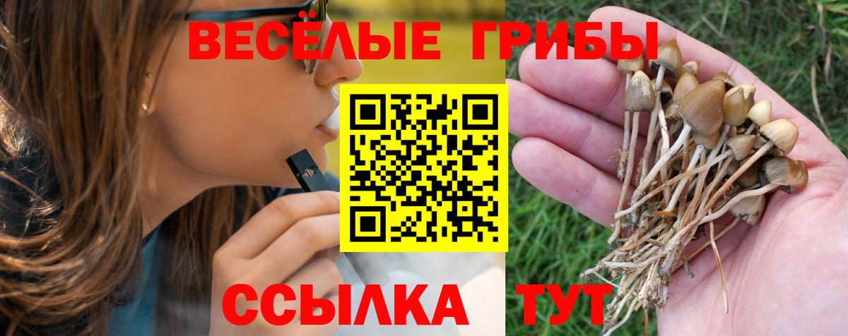 где найти   Вход с VPN  Нижнеудинск  Галлюциногенные грибы мухоморы  Псилоцибиновые грибы ЛСД 